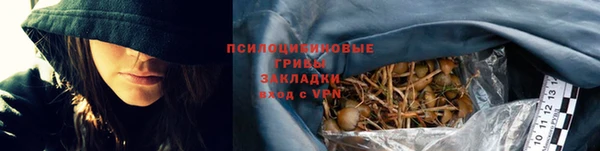 соль ск Белоозёрский
