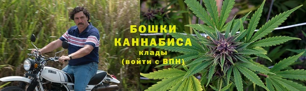 спайс Баксан