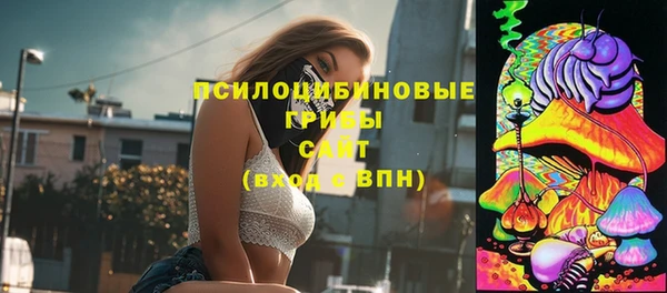 амф Белокуриха