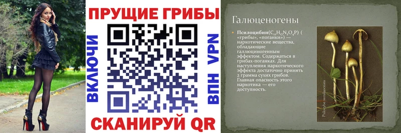 Псилоцибиновые грибы мицелий  Купить где  Мантурово 